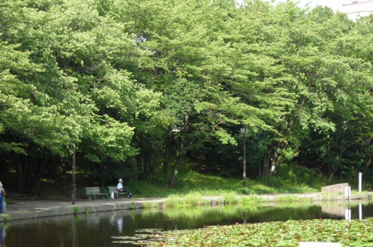 せせらぎ公園
